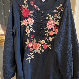 Beautiful authentic Johnny Was tunic top